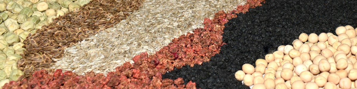 PLANTICO насіння рослин насіння овочів насіння квітів