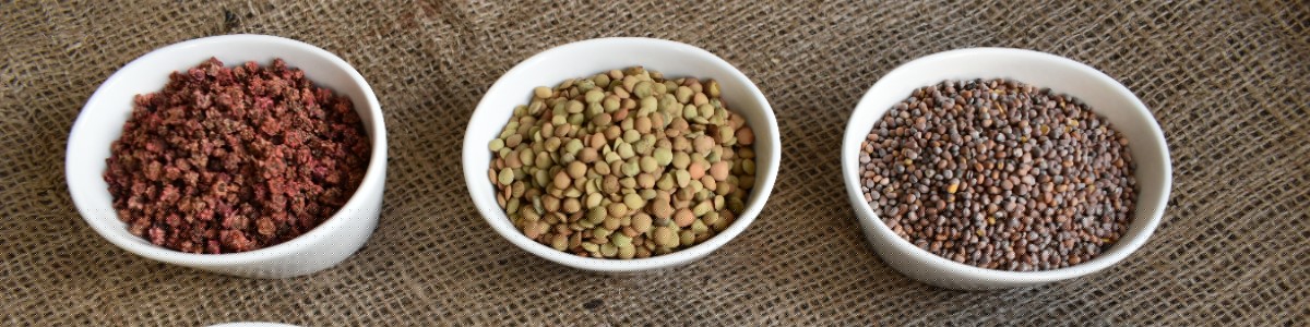 PLANTICO насіння рослин насіння овочів насіння квітів