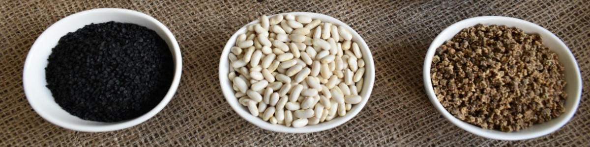 PLANTICO насіння рослин насіння овочів насіння квітів